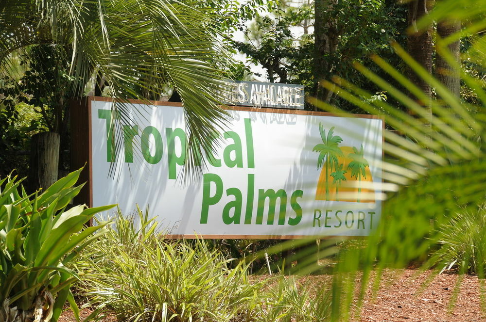 Tropical Palms Resort Celebration Luaran gambar